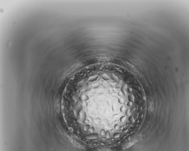 X0000060770666200511171215