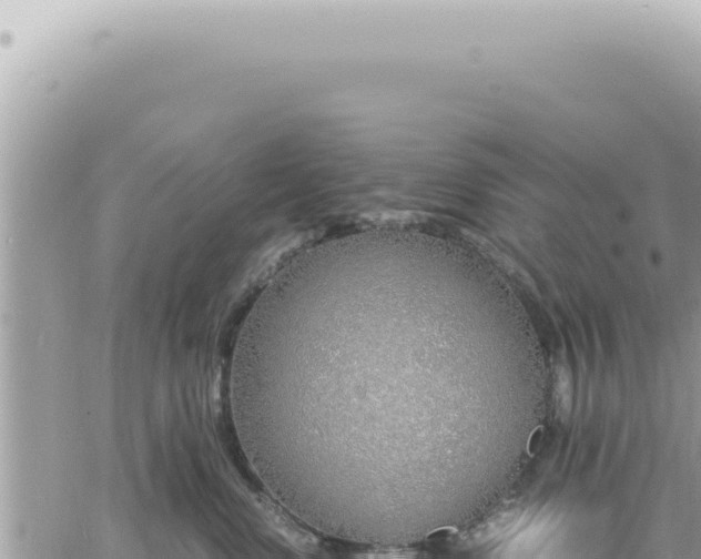 X0000060770668200511171215