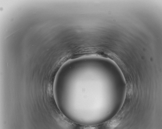 X0000060770669200511171215