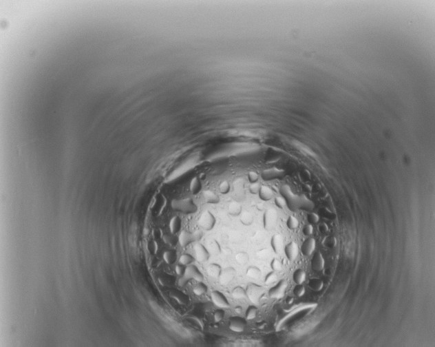 X0000060770670200511171215