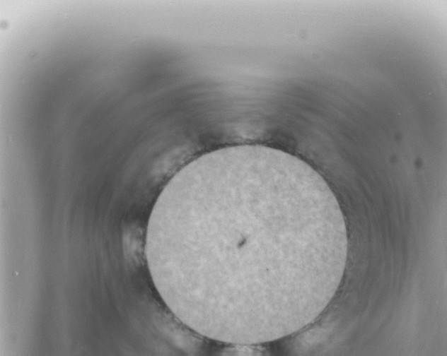 X0000060770672200511171215