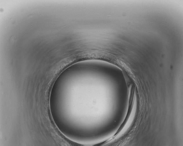 X0000060770673200511171214