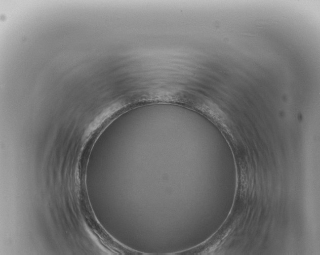 X0000060770674200511171214