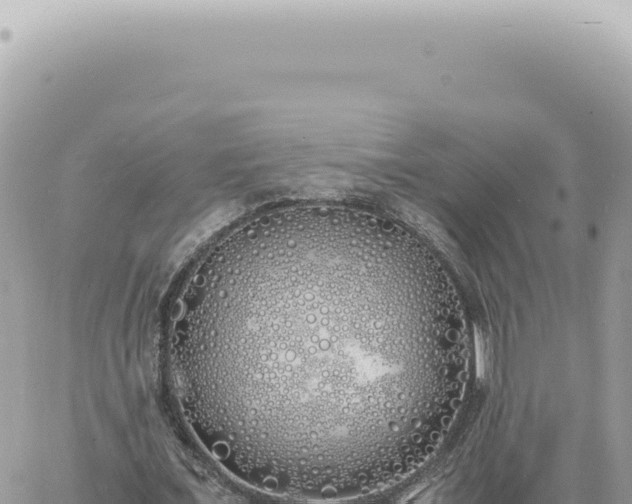 X0000060770675200511171214