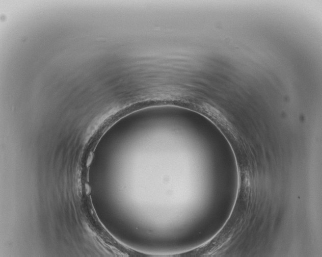 X0000060770676200511171214