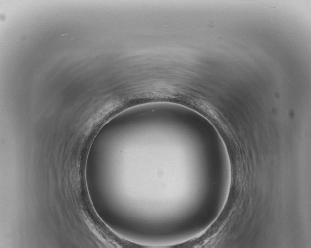 X0000060770677200511171214