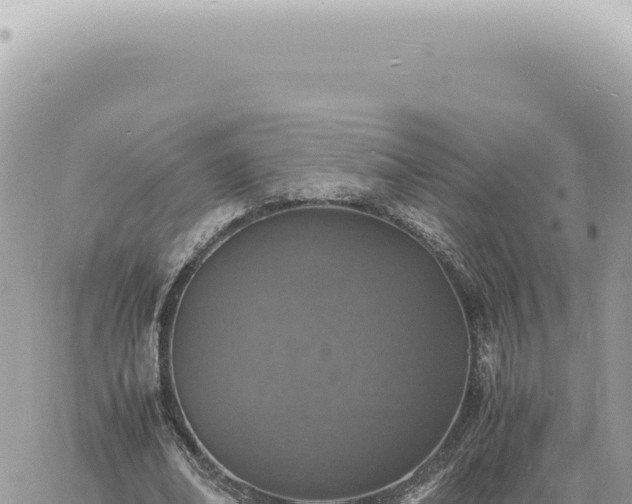 X0000060770678200511171214