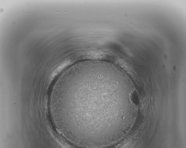 X0000060770679200511171214