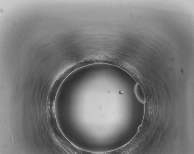 X0000060770680200511171214