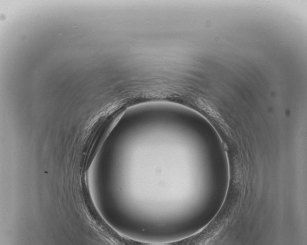 X0000060770681200511171214