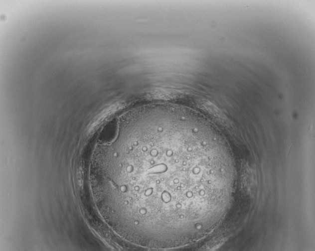 X0000060770683200511171214