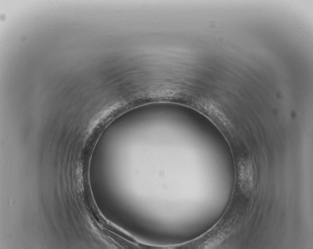 X0000060770684200511171214