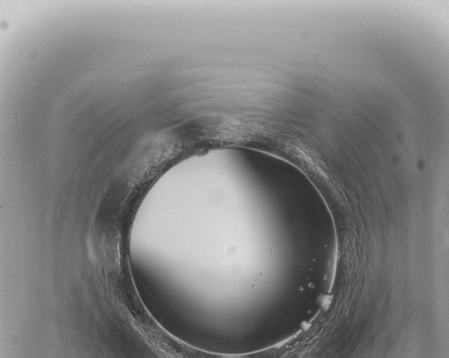 X0000060770685200511171214