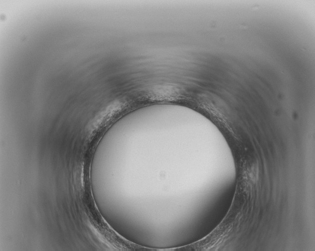 X0000060770686200511171214