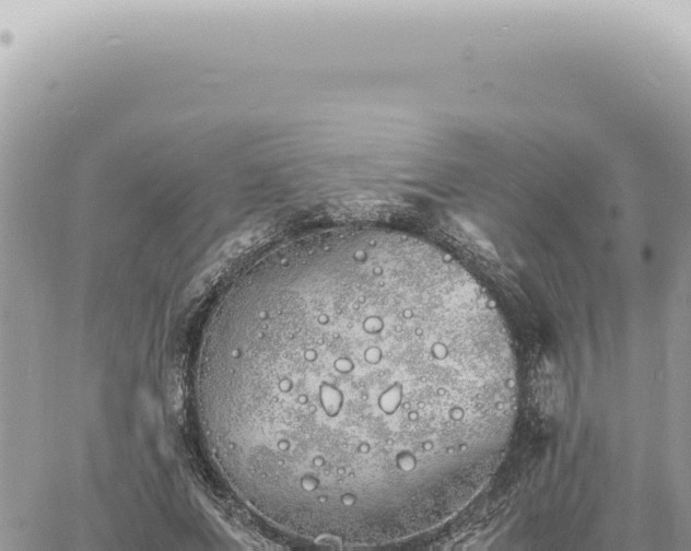 X0000060770687200511171214