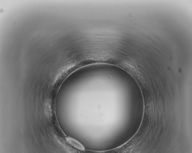 X0000060770688200511171214