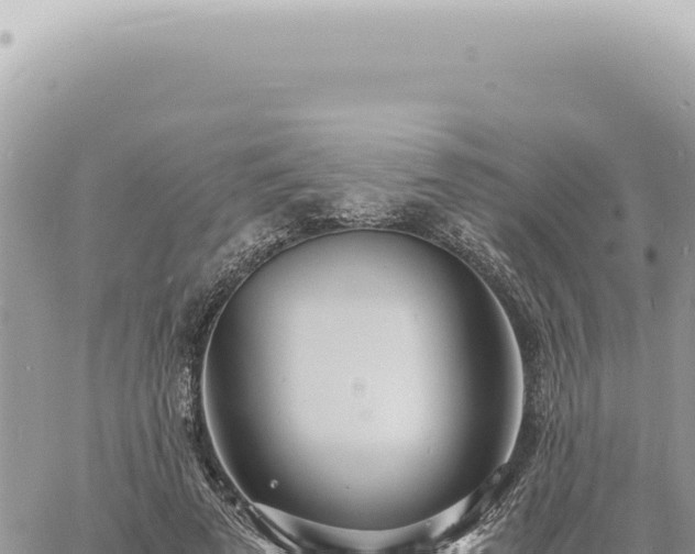 X0000060770689200511171214