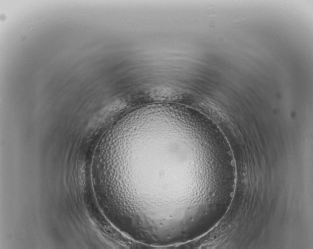 X0000060770690200511171214