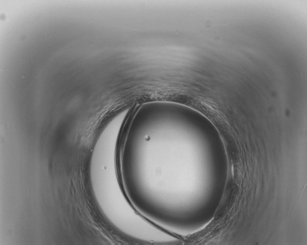 X0000060770691200511171214