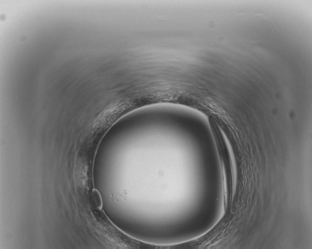 X0000060770693200511171214