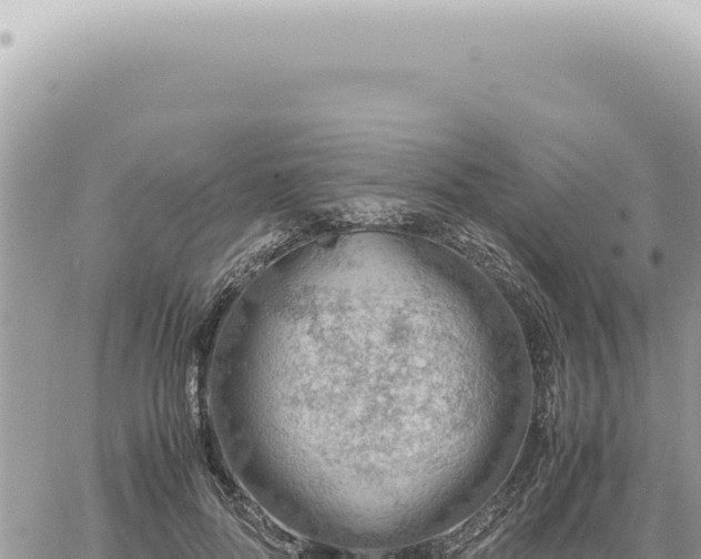 X0000060770696200511171213