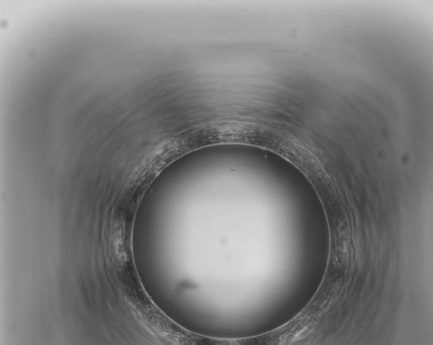 X0000060770698200511171213