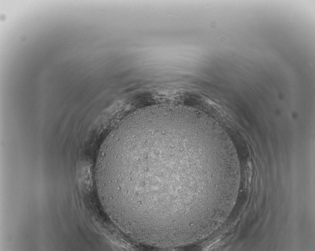 X0000060770699200511171213