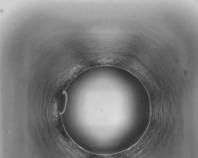 X0000060770700200511171213