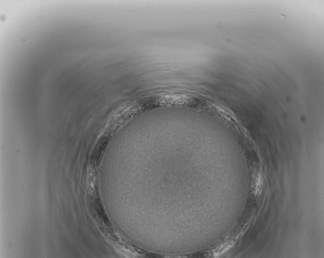 X0000060770701200511171213