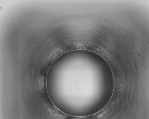 X0000060770702200511171213