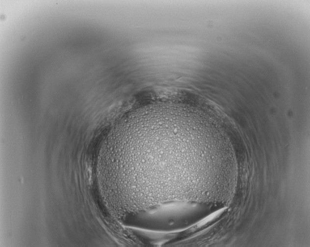 X0000060770703200511171213