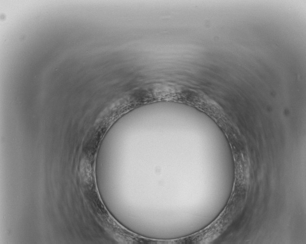 X0000060770705200511171213