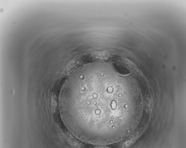 X0000060770707200511171213