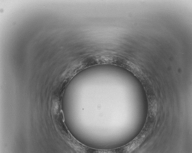 X0000060770709200511171213