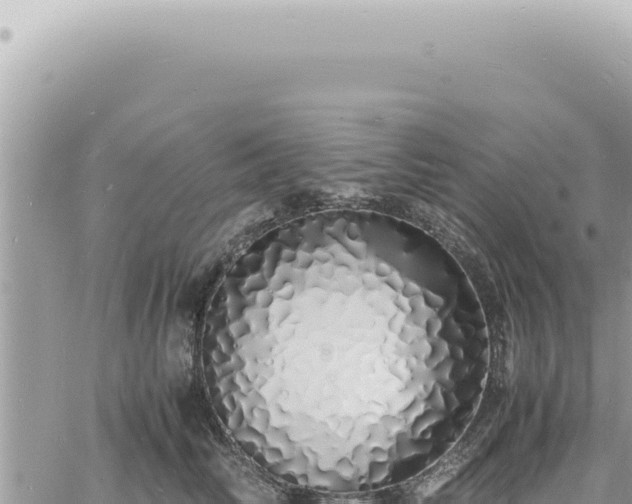 X0000060770710200511171213