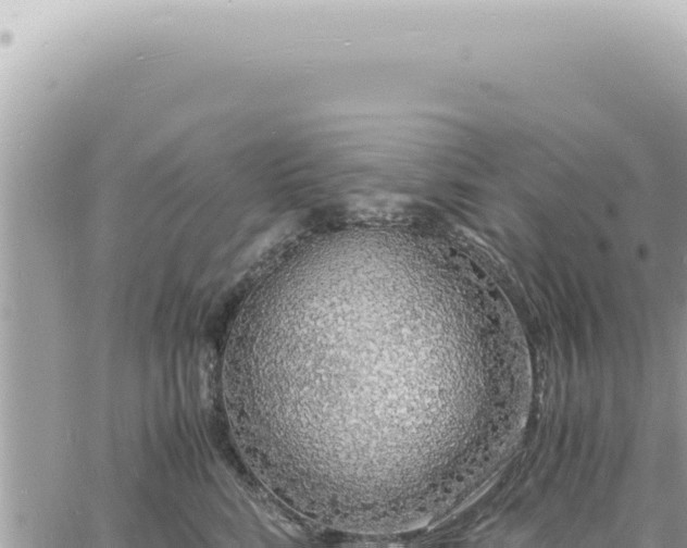 X0000060770712200511171213