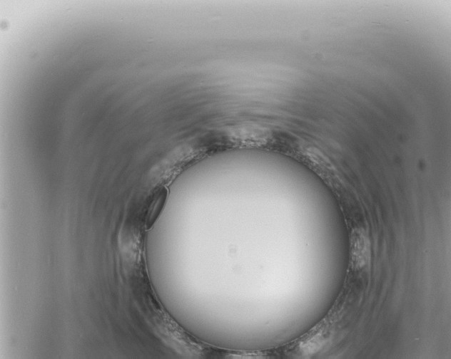 X0000060770713200511171213