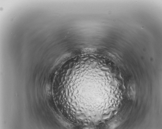 X0000060770714200511171213