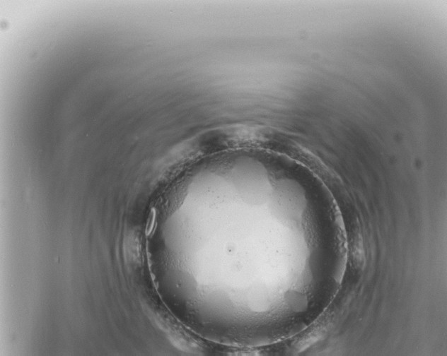 X0000060770715200511171213