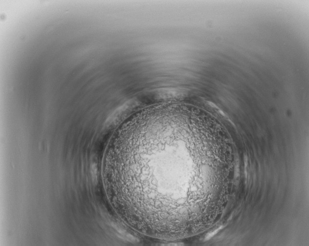 X0000060770716200511171213