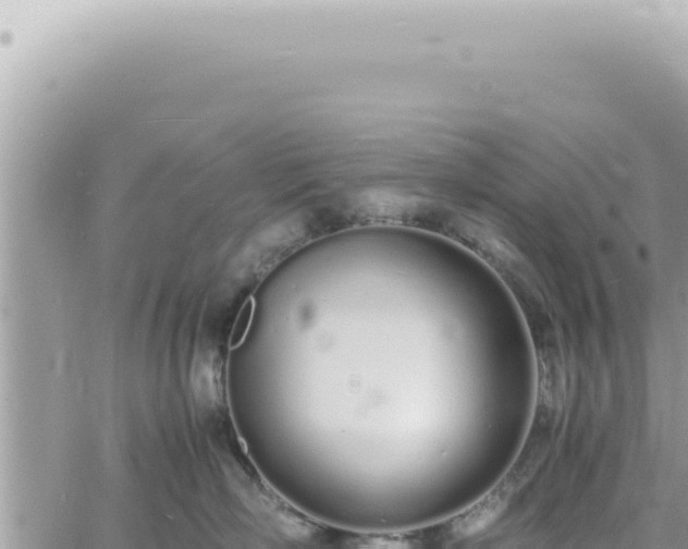 X0000060770718200511171213