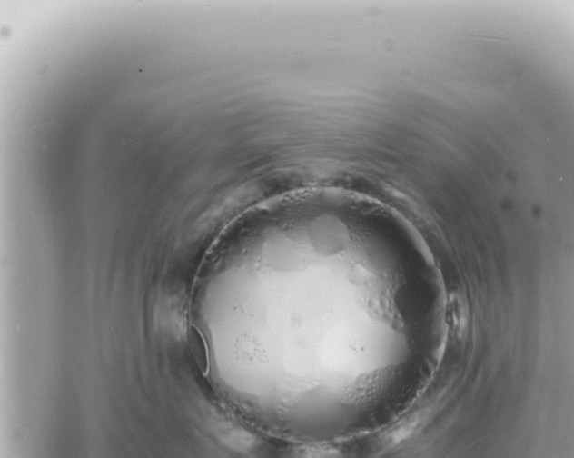 X0000060770719200511171213