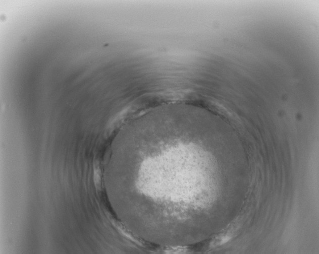 X0000060770720200511171213