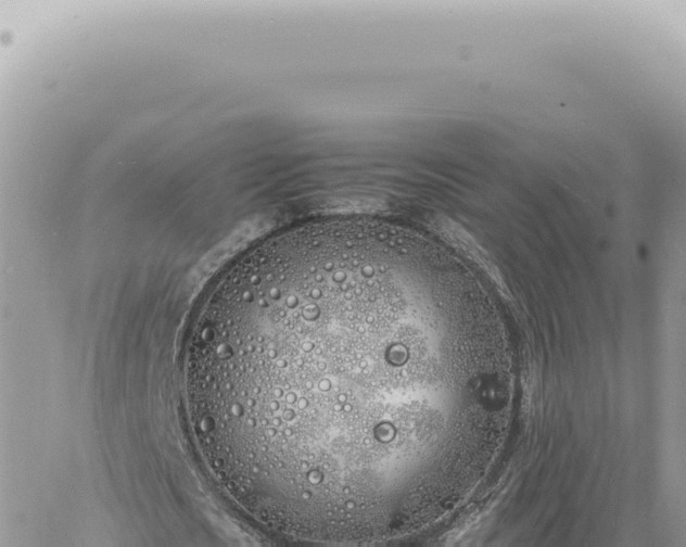 X0000060770721200511171212