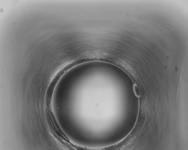 X0000060770722200511171212