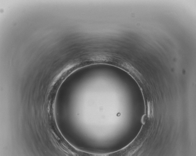 X0000060770723200511171212