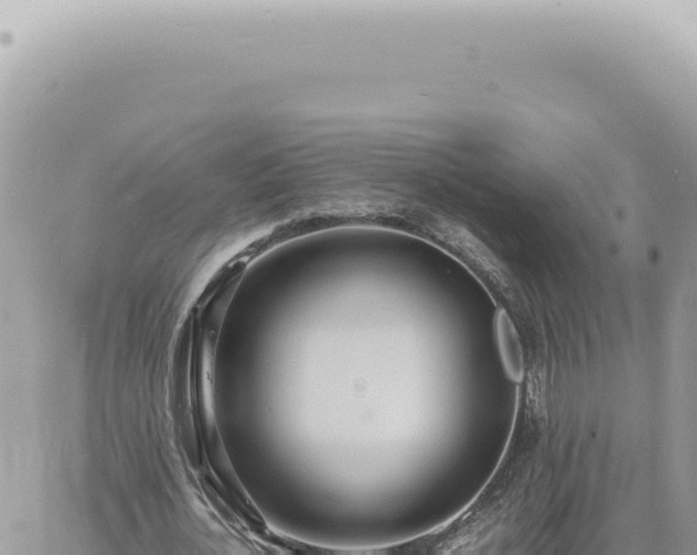 X0000060770724200511171212