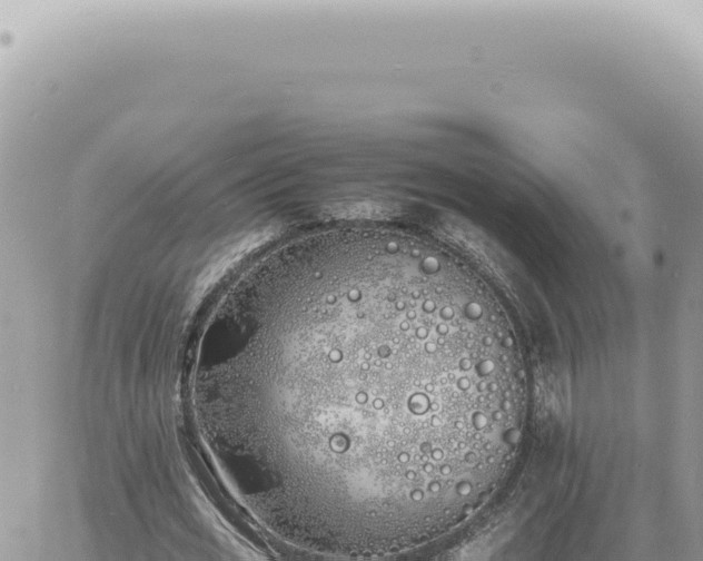 X0000060770725200511171212