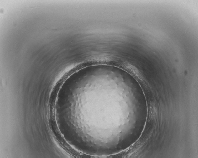 X0000060770726200511171212