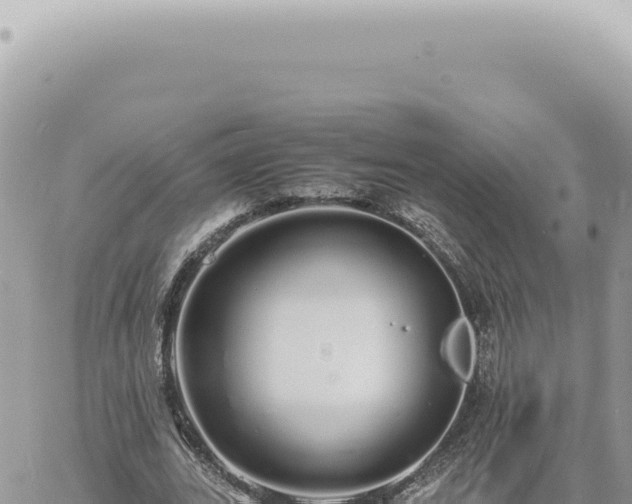 X0000060770727200511171212